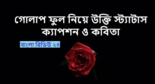 গোলাপ ফুল নিয়ে উক্তি স্ট্যাটাস ক্যাপশন ও কবিতা