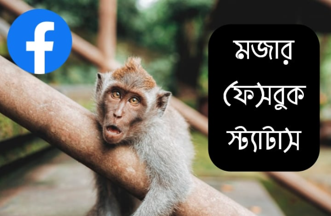 সেরা মজার ফেসবুক স্ট্যাটাস ও উক্তি